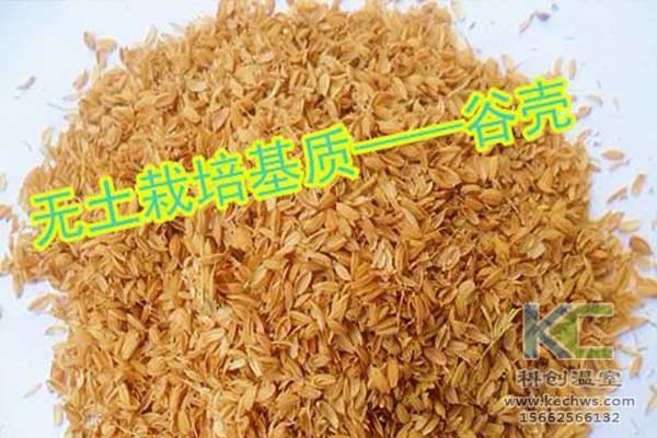無(wú)土栽培，無(wú)土栽培技術(shù)，無(wú)土栽培設(shè)備