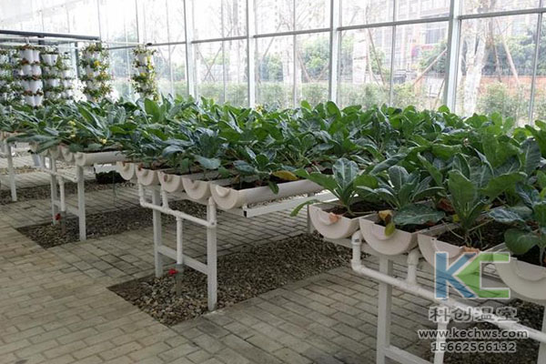 無(wú)土栽培，無(wú)土栽培技術(shù)，無(wú)土栽培設(shè)備
