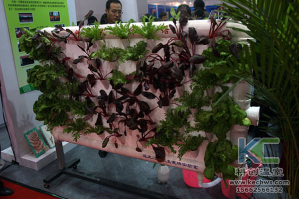 蔬菜大棚無(wú)土栽培，無(wú)土栽培技術(shù)，溫室大棚，大棚