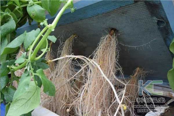 無(wú)土栽培，無(wú)土栽培技術(shù)，無(wú)土栽培設(shè)備