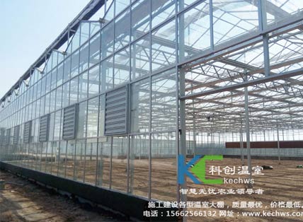 無(wú)土栽培，無(wú)土栽培技術(shù)，無(wú)土栽培設(shè)備