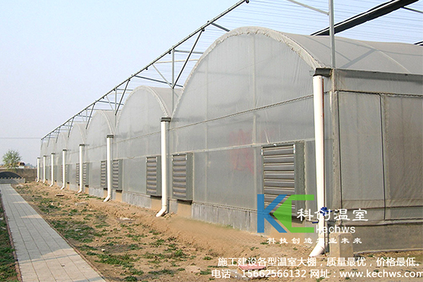 無土栽培，無土栽培技術(shù)，無土栽培設(shè)備