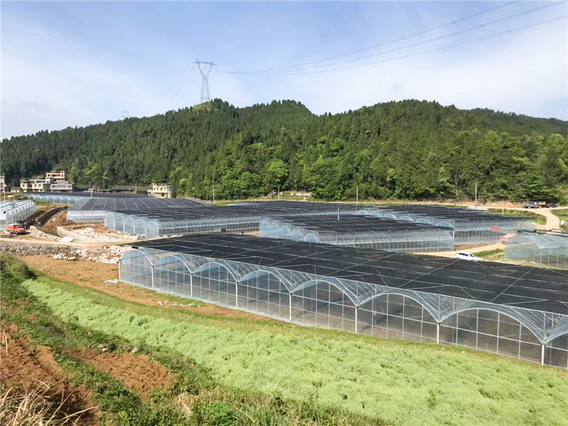 無土栽培，無土栽培技術(shù)，無土栽培設(shè)備