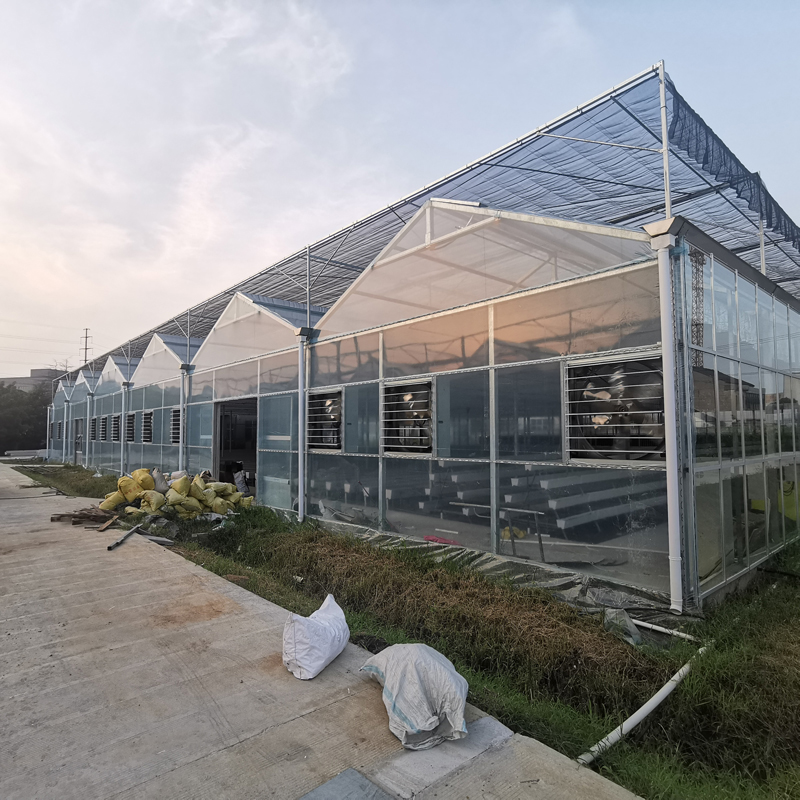 無土栽培，無土栽培技術(shù)，無土栽培設(shè)備