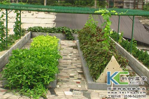 無(wú)土栽培，無(wú)土栽培技術(shù)，無(wú)土栽培設(shè)備