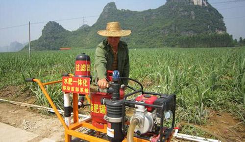 無(wú)土栽培，無(wú)土栽培技術(shù)，無(wú)土栽培設(shè)備