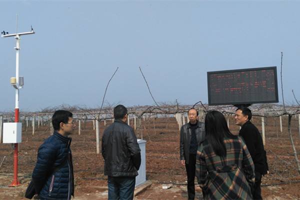 無土栽培，無土栽培技術(shù)，無土栽培設(shè)備
