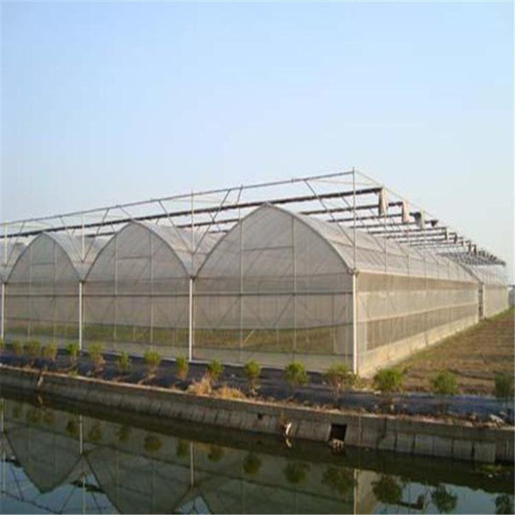 無土栽培，無土栽培技術，無土栽培設備