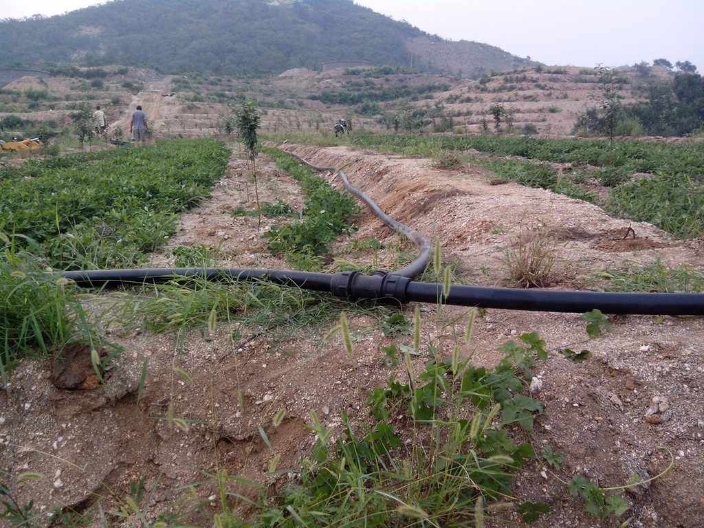 無土栽培，無土栽培技術(shù)，無土栽培設(shè)備